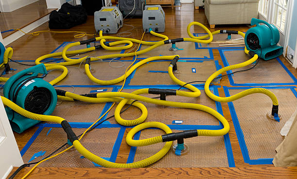 Professional Burst Pipe Water Damage technician working in Nixon, TX
